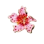 Krycí knoflík Růžová orchidej